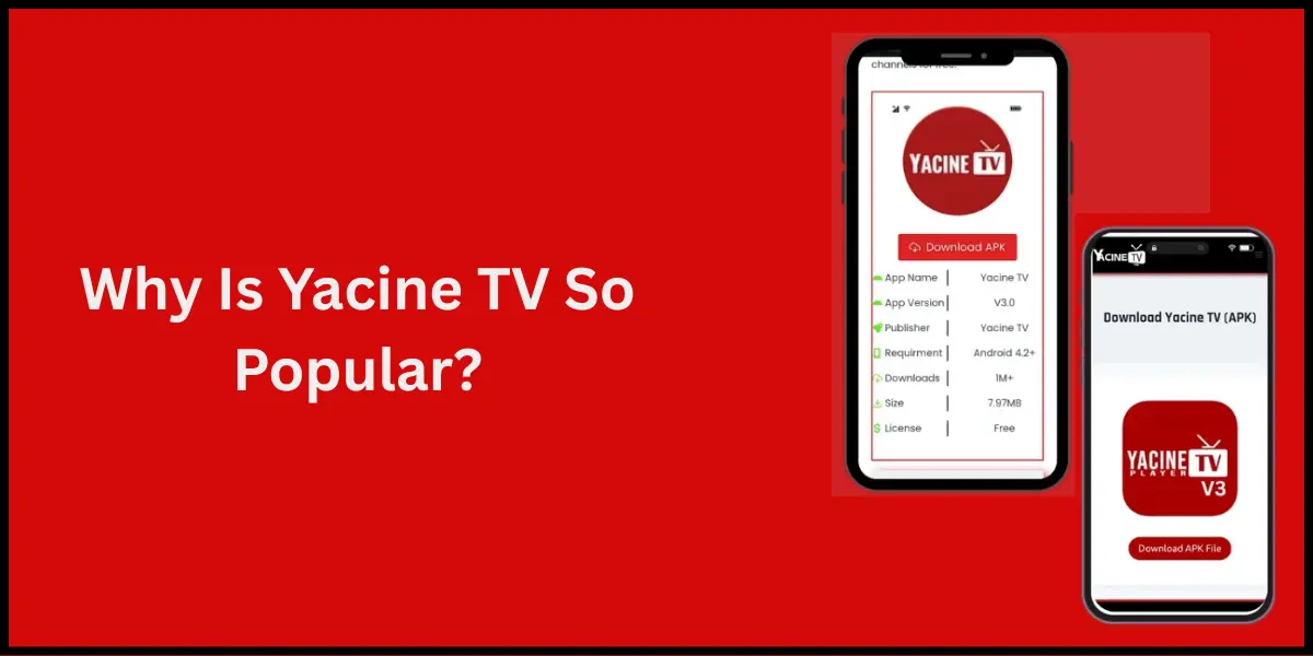 Why Is Yacine TV So Popular
